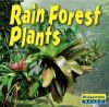 Rain_forest_plants
