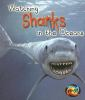 Watching_sharks_in_the_oceans