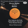 Lp_Pure__Vol__28__Bruno_Walter_Conducts_Mahler__recorded_1952_
