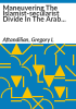 Maneuvering_the_Islamist-secularist_divide_in_the_Arab_world
